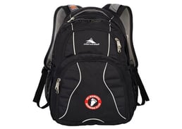 High Sierra Swerve 17 inch Computer Backpack 