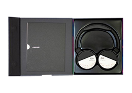 Promotional Headphones