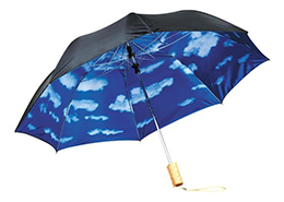Blue Skies Auto Open Folding Umbrella