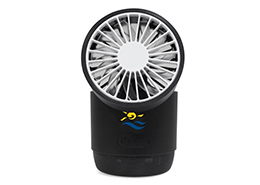 Customized Portable Speaker Fan