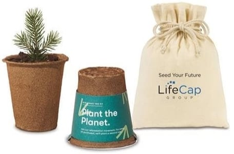 modern-sprout-tree-kits