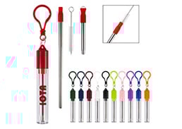 Collapsible Stainless Steel Straw Kit