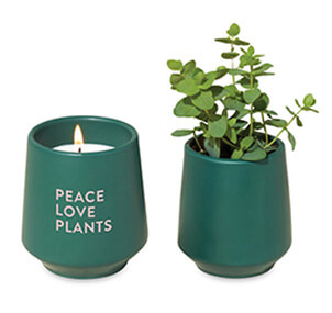 Modern-Sprout-Rooted-Candle