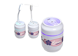 Brume Mini Humidifier