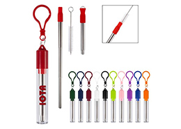 Collapsible Stainless Steel Straw Kit