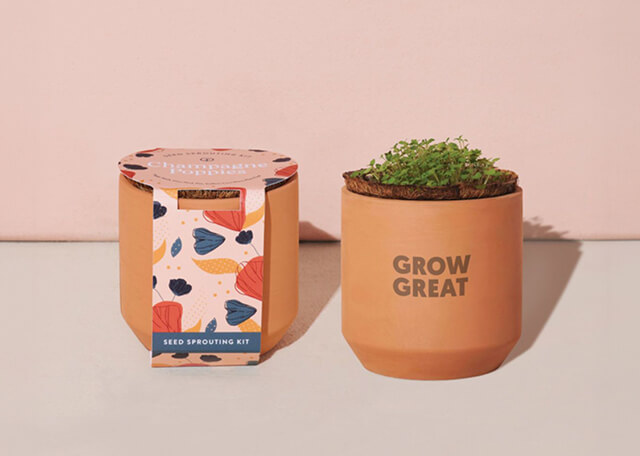 Plants & Seeds